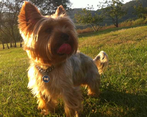 Lucas en el parque