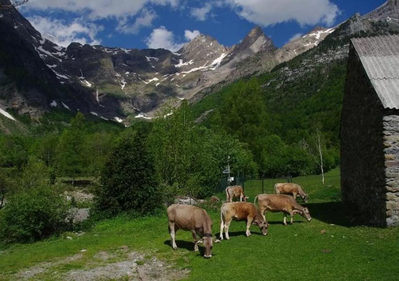 Camping Peña Montañesa senda