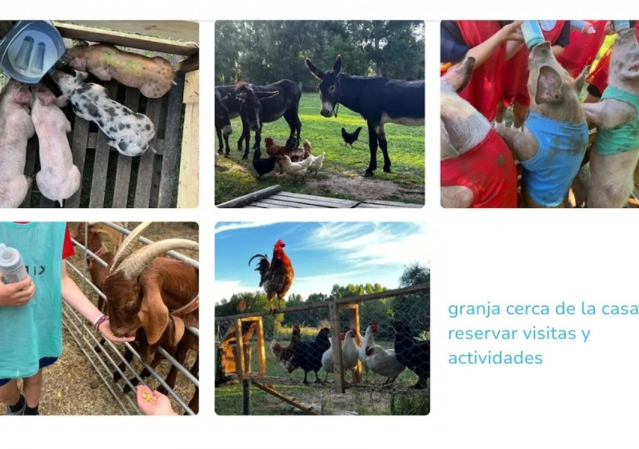 CasaMiguelSally-granja-5682