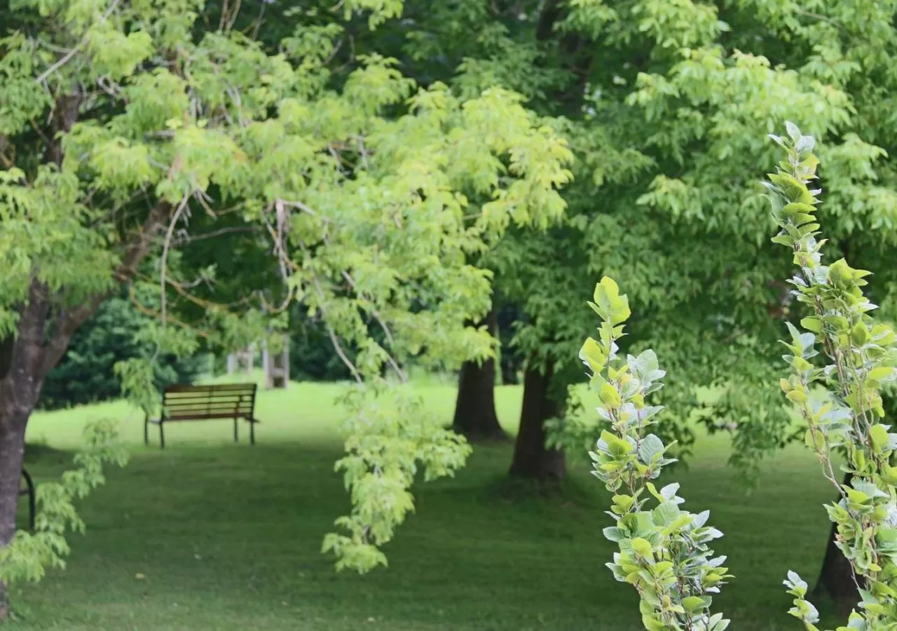 JARDIN-2593
