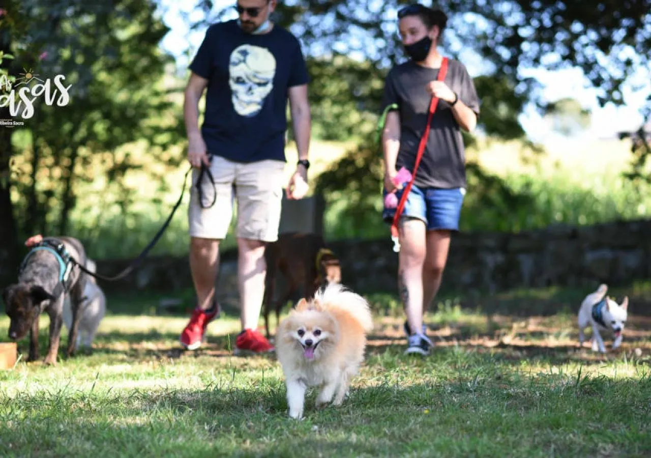 pazo-as-casas-paseo-perros-3907