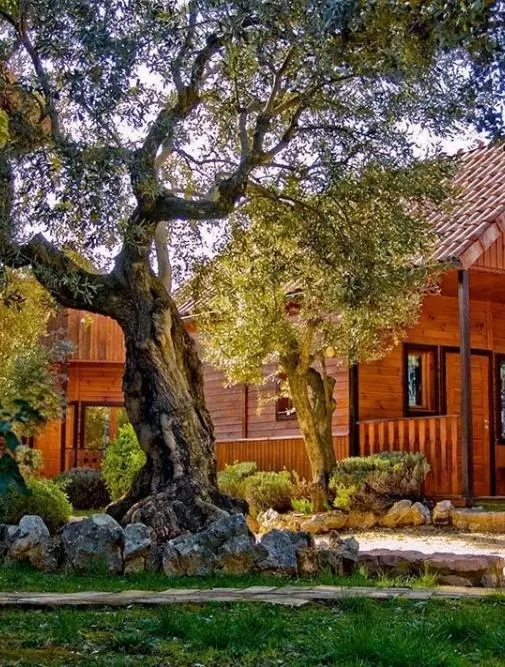 Camping Alquezar