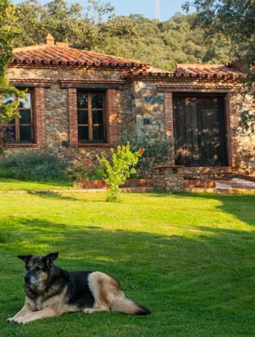 Molino Río Alájar