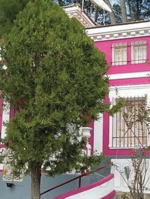 Villa Pachita