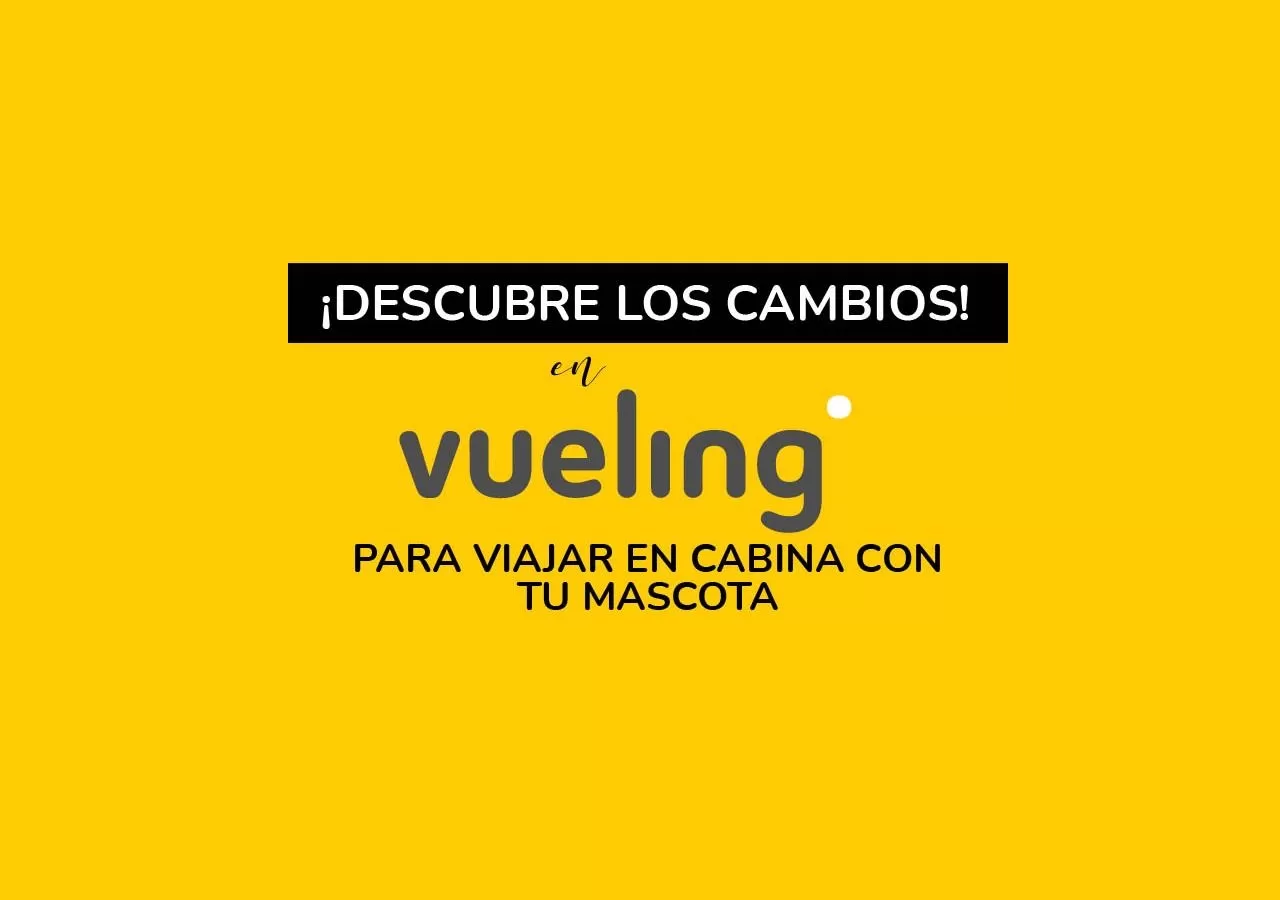 Vueling, nuevas normas para ir en cabina con tu mascota.