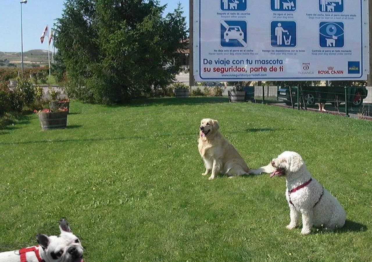 Áreas de descanso donde parar cuando viajas con tu mascota.