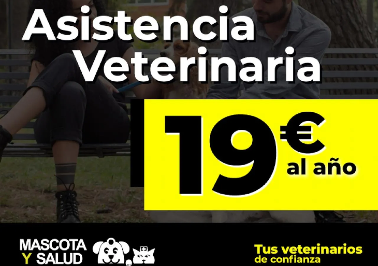 La salud de tu mascota, asegurada vayas donde vayas.